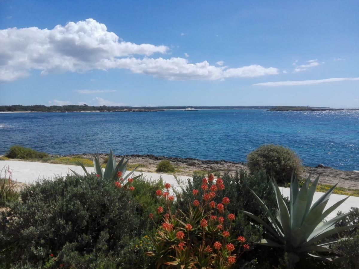 Son Coves Petit Vakantiehuis